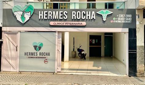 veterinaria hermes|Vet Clinics Info .